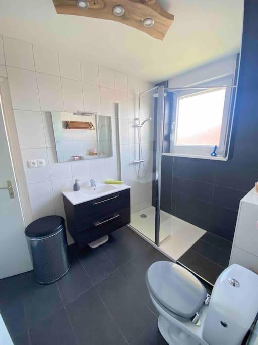 קולמר Logement Ideal Pour Un Sejour Alsacien En Amoureux מראה חיצוני תמונה
