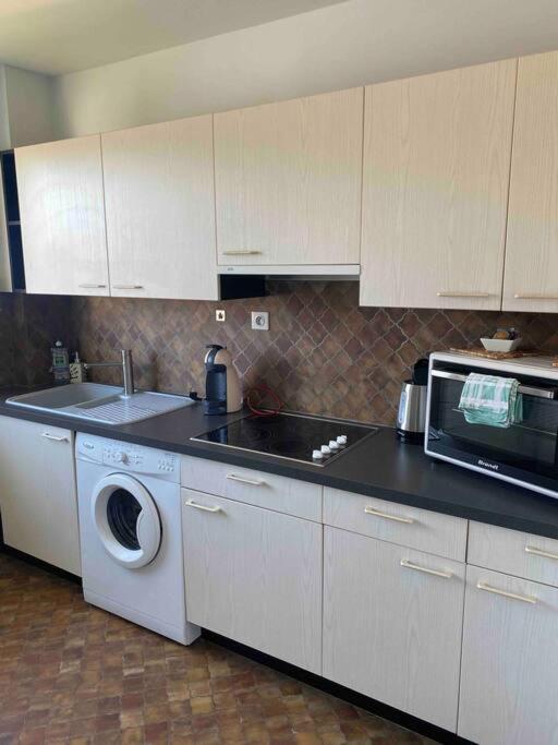 קולמר Logement Ideal Pour Un Sejour Alsacien En Amoureux מראה חיצוני תמונה